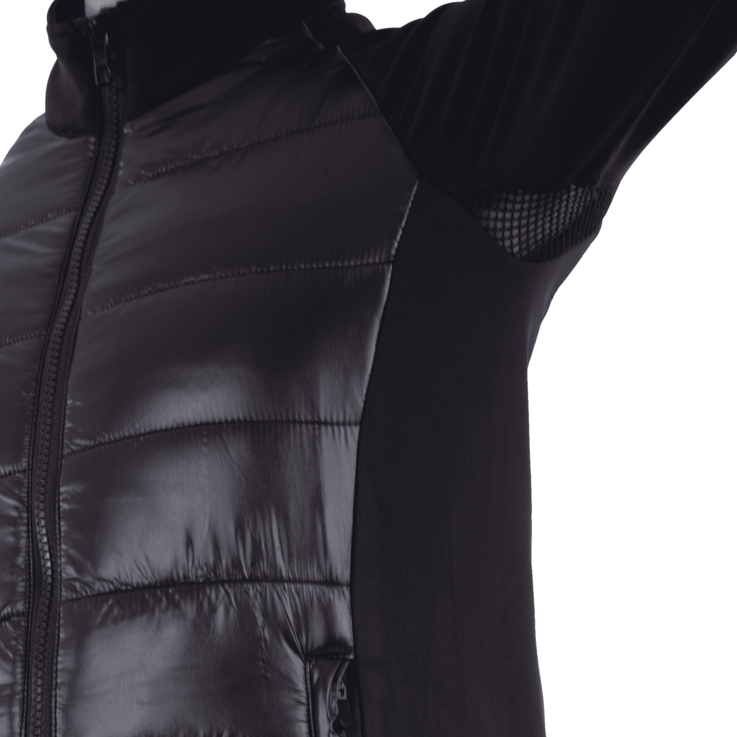 Veste hybride Paradice World